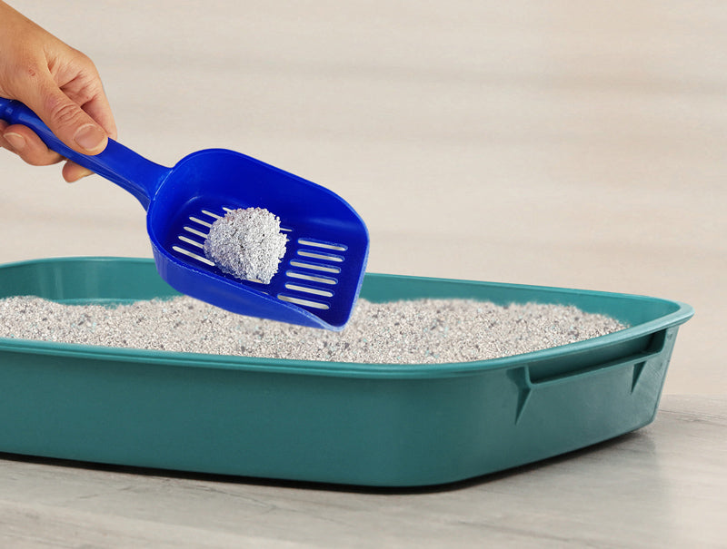 Kiki Kat Cat Litter – Cleany