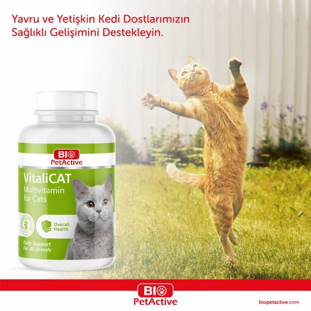 Vitalicat 150 Tablet Multi̇vi̇tami̇n Tablet