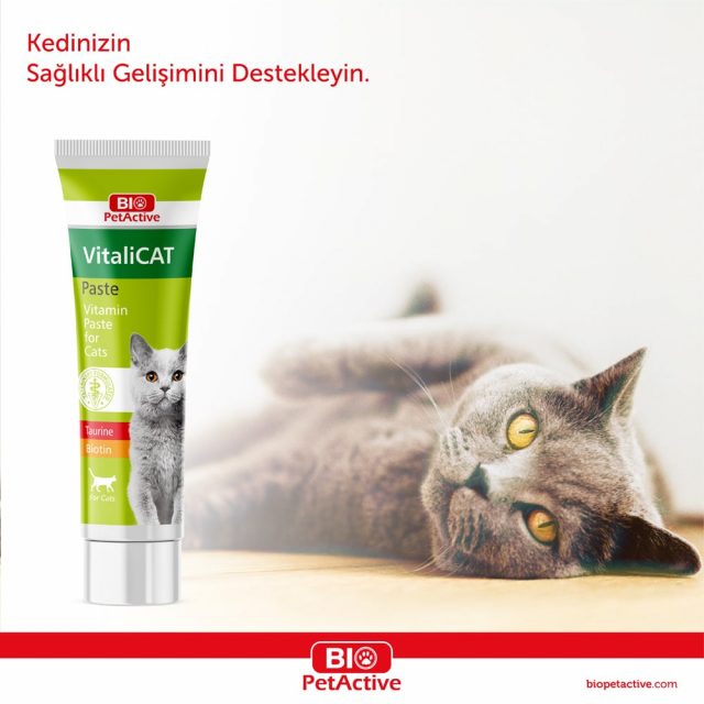 Vi̇tali̇cat Paste - Multivitamin Pastes for Cats