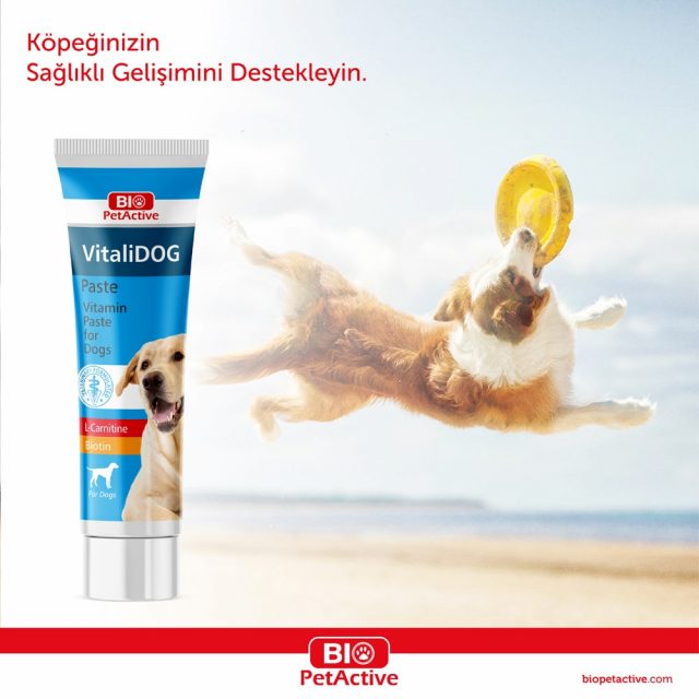 Vitalidog Paste - Multivitamin Pastes for Dogs