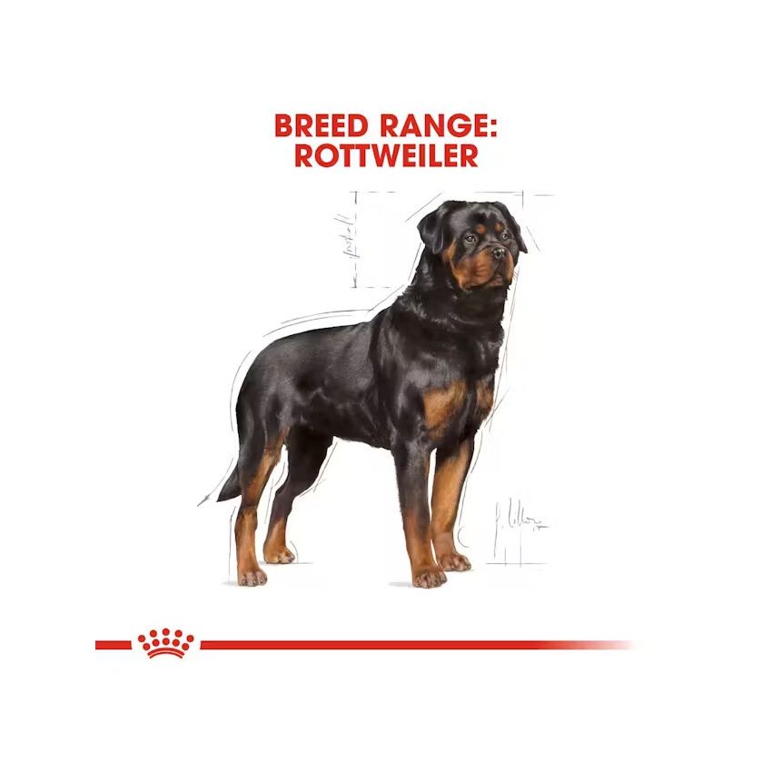 BHN ROTTWEILER ADULT 12K Dry Food Royal Canin