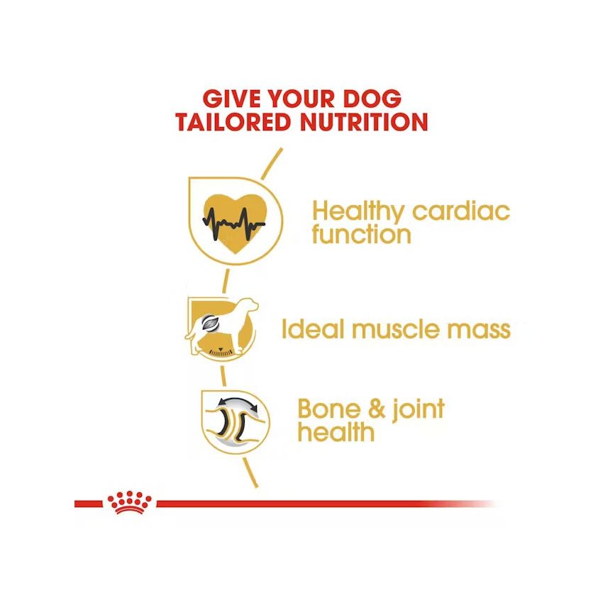 BHN ROTTWEILER ADULT 12K Dry Food Royal Canin