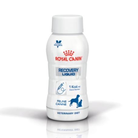 ROYAL CANIN Recovery Liquid (Dog & Cat) Pack of 3 x 200 ml bottles