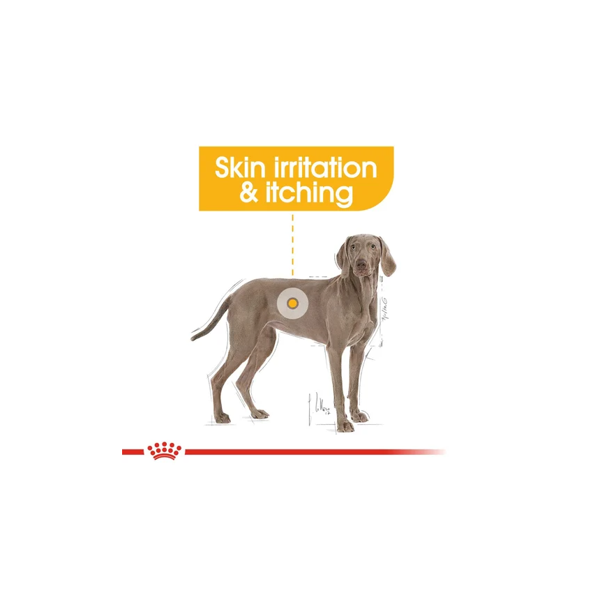 SHN MAXI DERMACOMFORT Dry Food Royal Canin