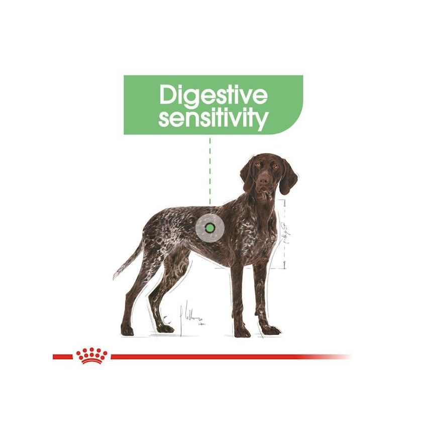 CCN MAXI DIGES CARE 12KG Dry Food Royal Canin