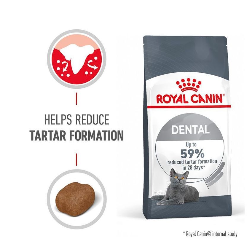 Dental Care Dry Food Royal Canine