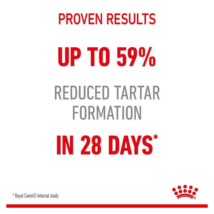 Dental Care Dry Food Royal Canine