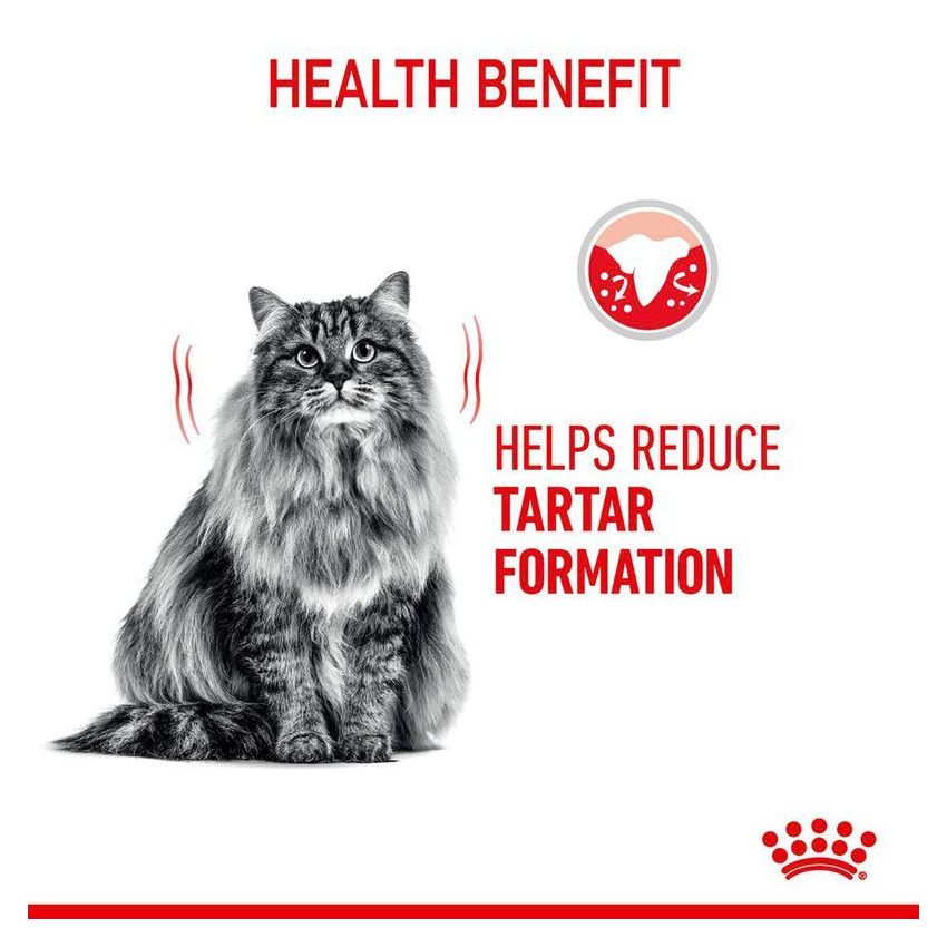 Dental Care Dry Food Royal Canine