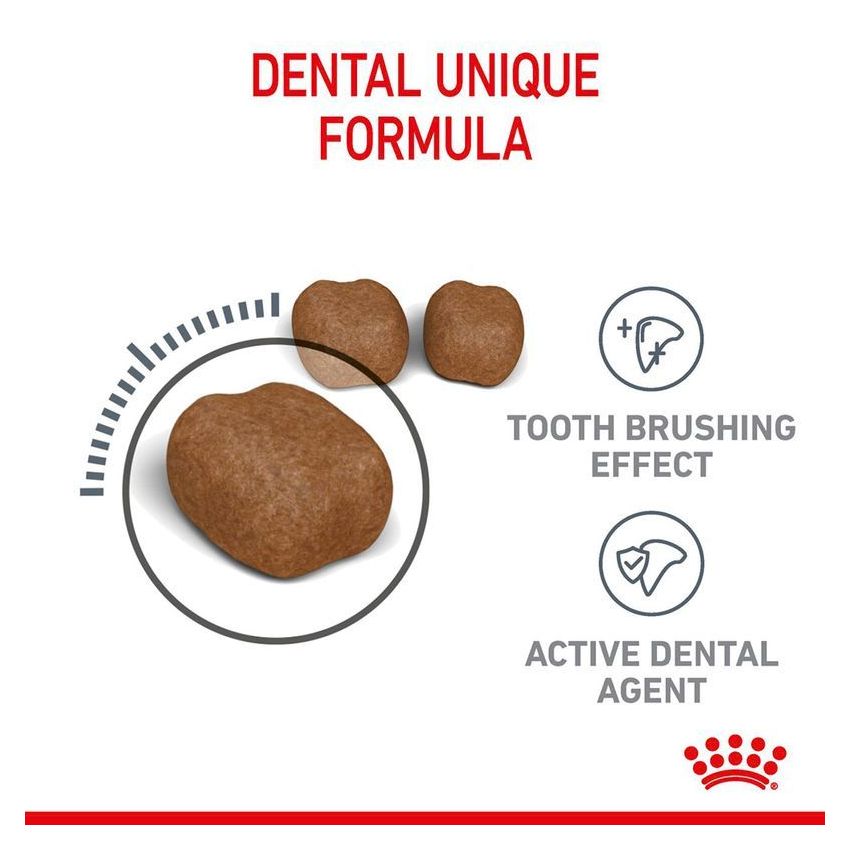 Dental Care Dry Food Royal Canine