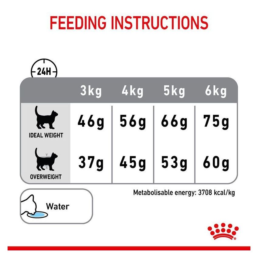 Dental Care Dry Food Royal Canine