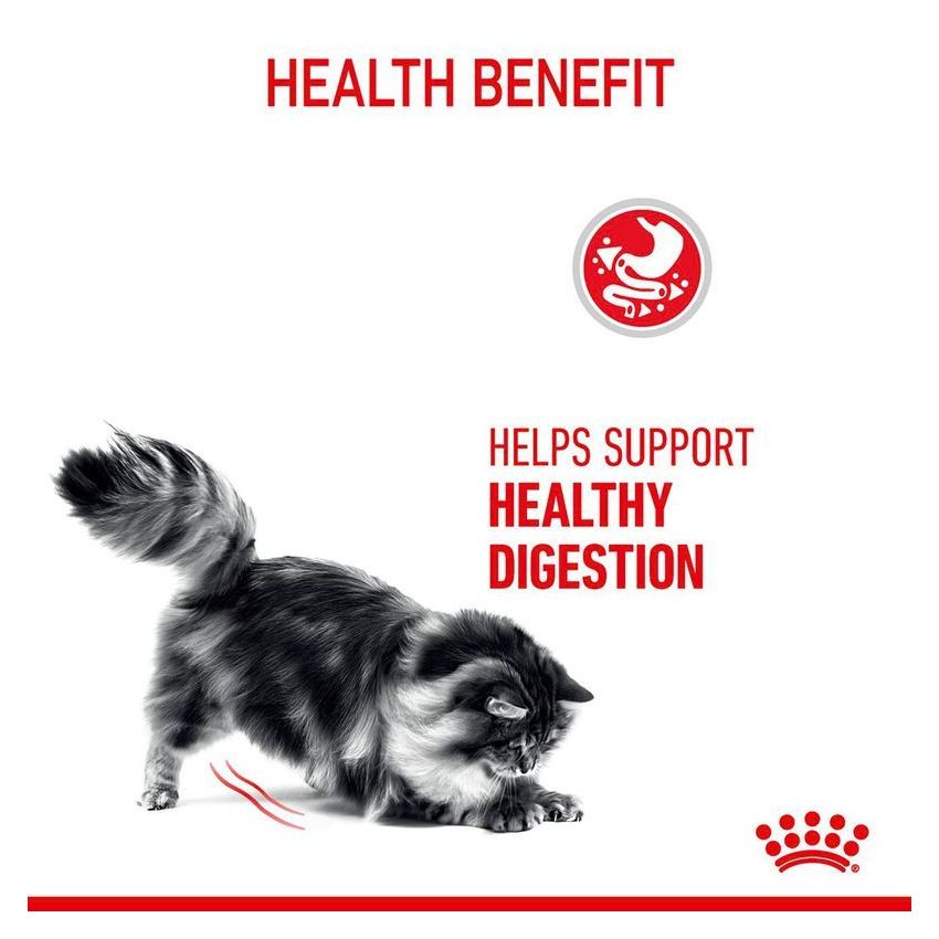 FCN DIGESTIVE CARE Royal Canine Dry Food