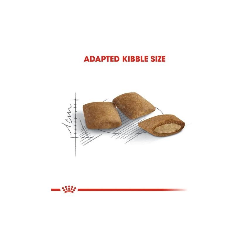 AGEING +12 CAT Royal Canine Dry Food