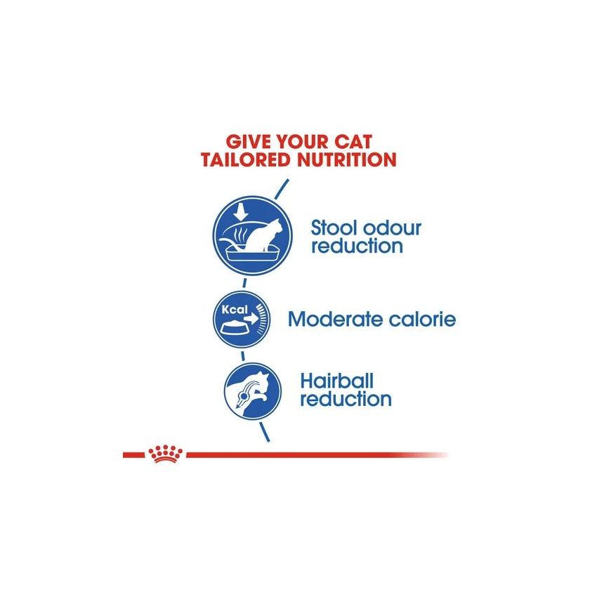 FHN INDOOR 27 Royal Canine Dry Food