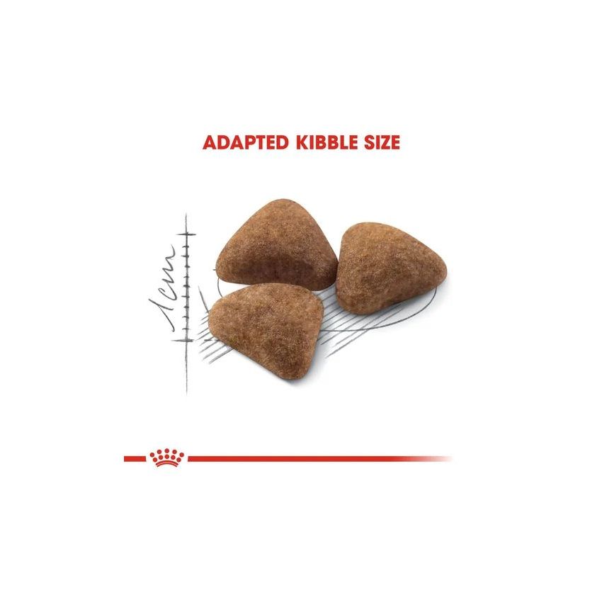 FHN INDOOR 27 Royal Canine Dry Food