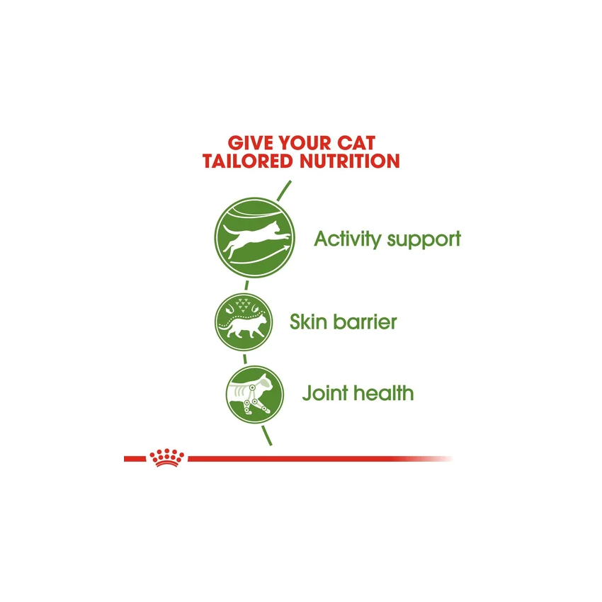 FHN OUTDOOR30 Dry Food Royal Canine