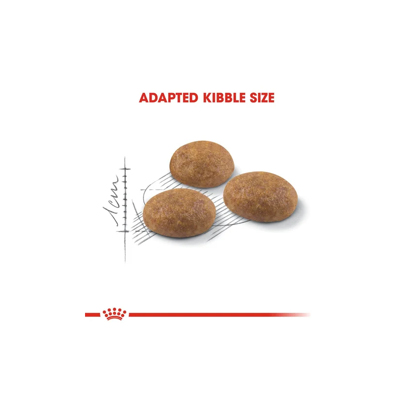 FHN OUTDOOR30 Dry Food Royal Canine