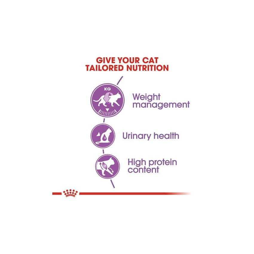 FHN STERILISED37 Royal Canine Dry Food