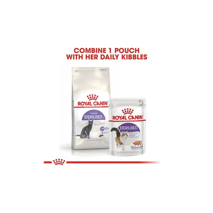 FHN STERILISED37 Royal Canine Dry Food