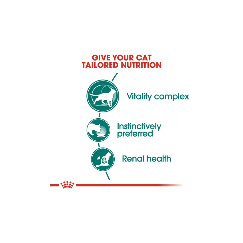 INSTINCTIVE +7 CAT 85g Wet Food Royal Canine