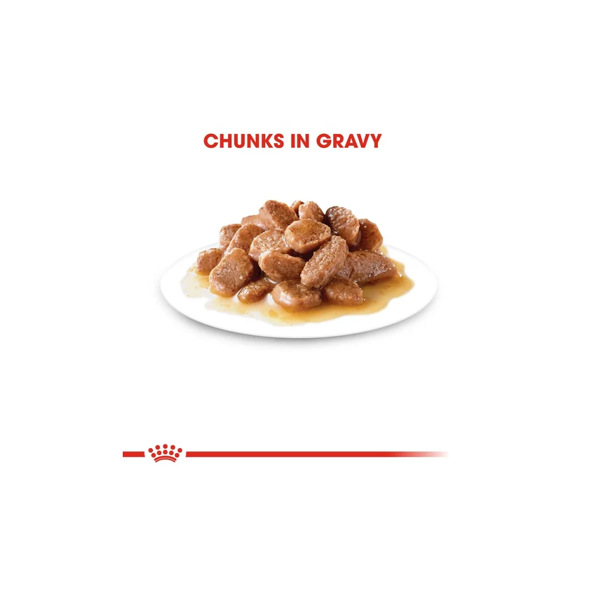 STERILISED IN GRAVY 85g Wet Food Royal Canine