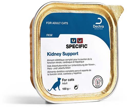 Kidney Support