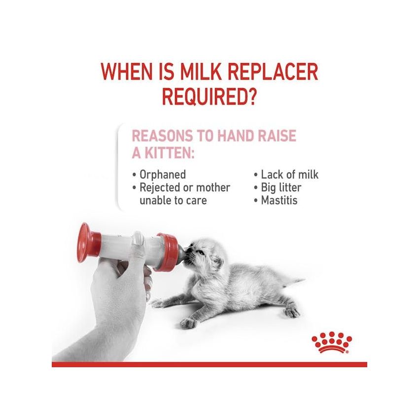 FHN BABYCAT MILK 300G Royal Canine