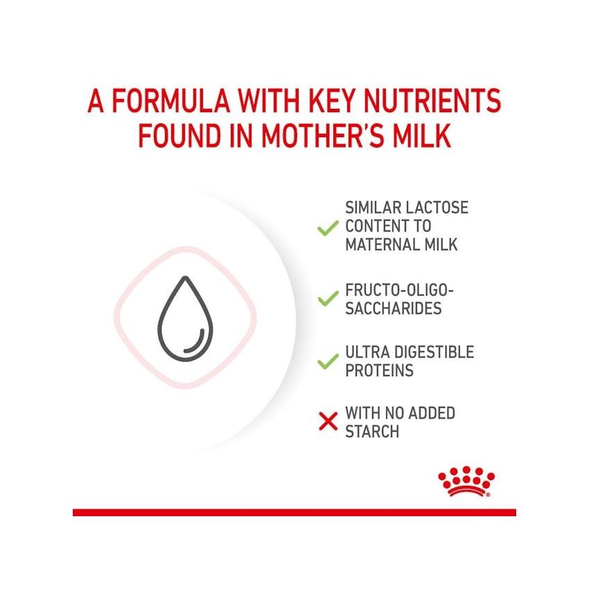 FHN BABYCAT MILK 300G Royal Canine