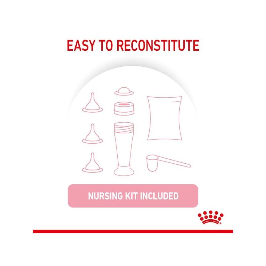 FHN BABYCAT MILK 300G Royal Canine