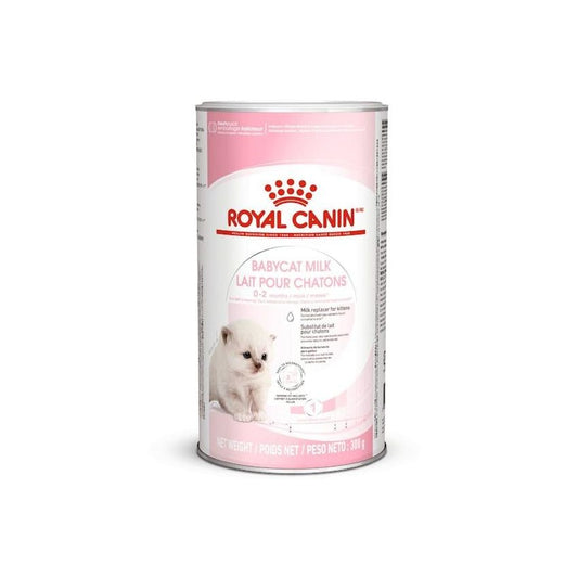 FHN BABYCAT MILK 300G Royal Canine