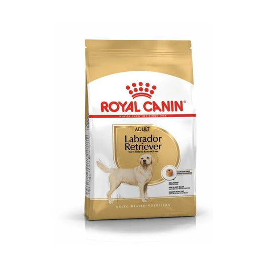 BHN LABRADOR ADULT 12K Dry Food Royal Canin