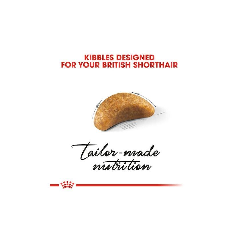 FBN KITTEN BRITISH SHORTHAIR Dry Food