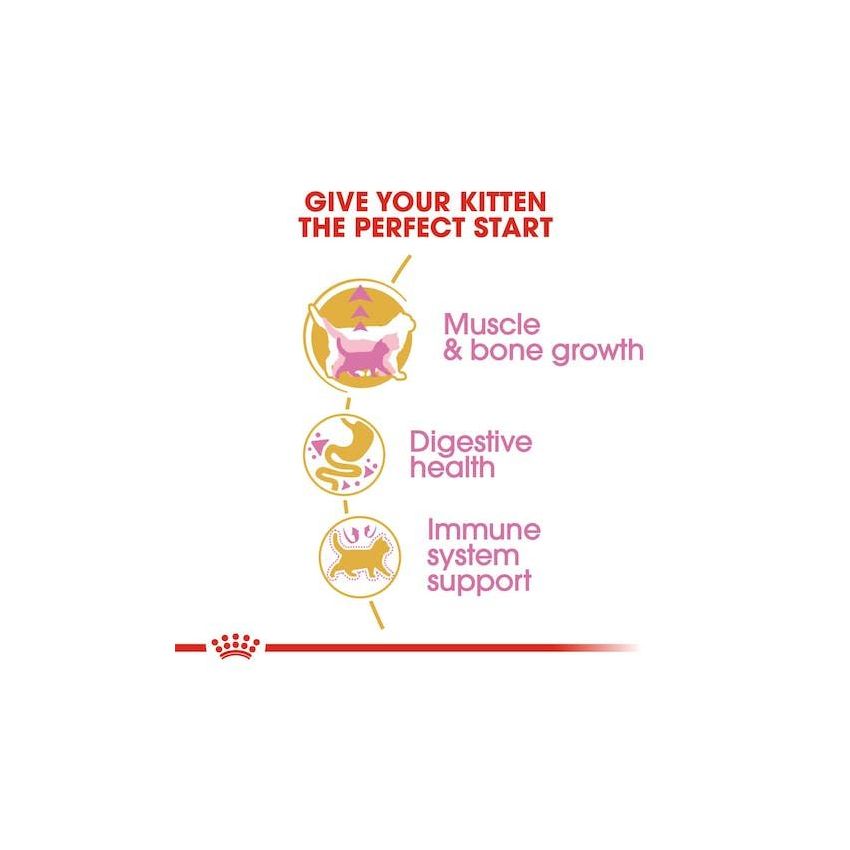 FBN KITTEN BRITISH SHORTHAIR Dry Food