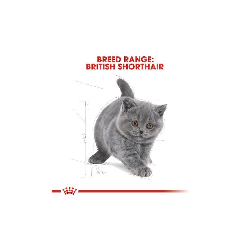 FBN KITTEN BRITISH SHORTHAIR Dry Food