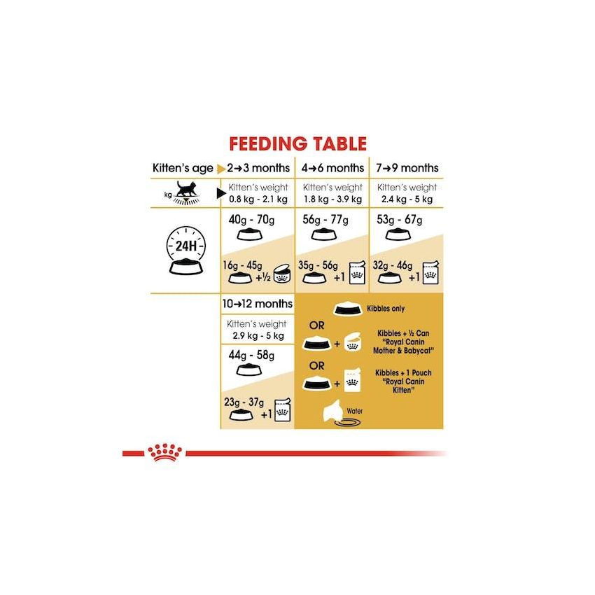 FBN KITTEN BRITISH SHORTHAIR Dry Food