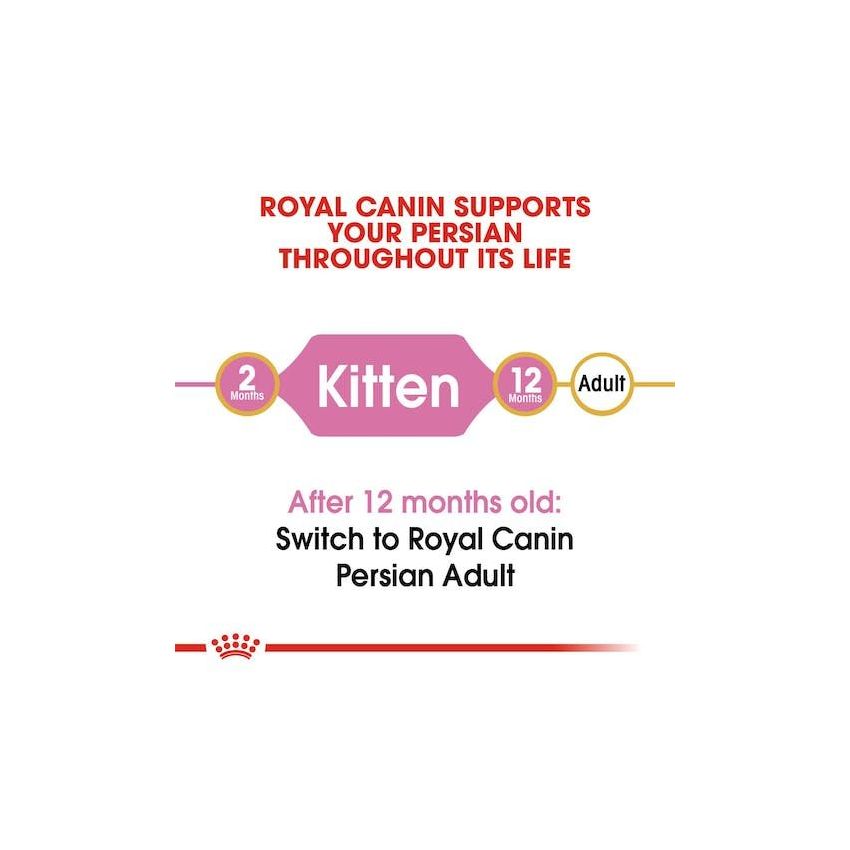 FBN KITTEN PERSIAN Royal Canine Dry Food