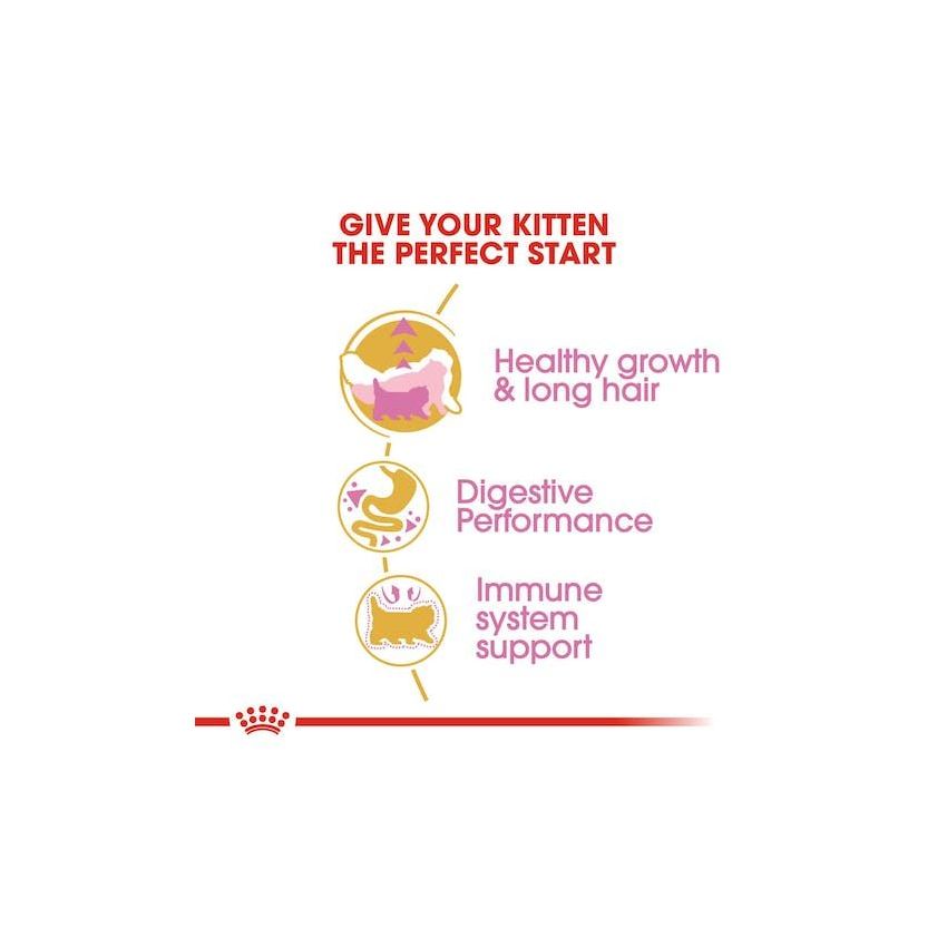 FBN KITTEN PERSIAN Royal Canine Dry Food