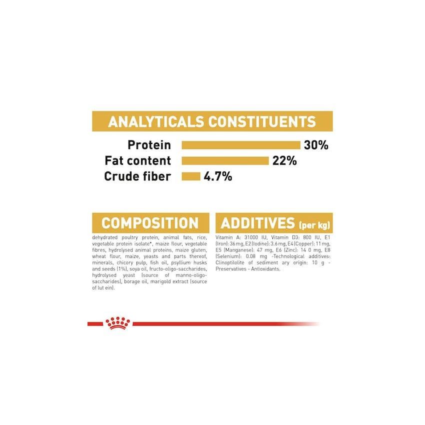 Royal Canin Persian Adult Cat Food