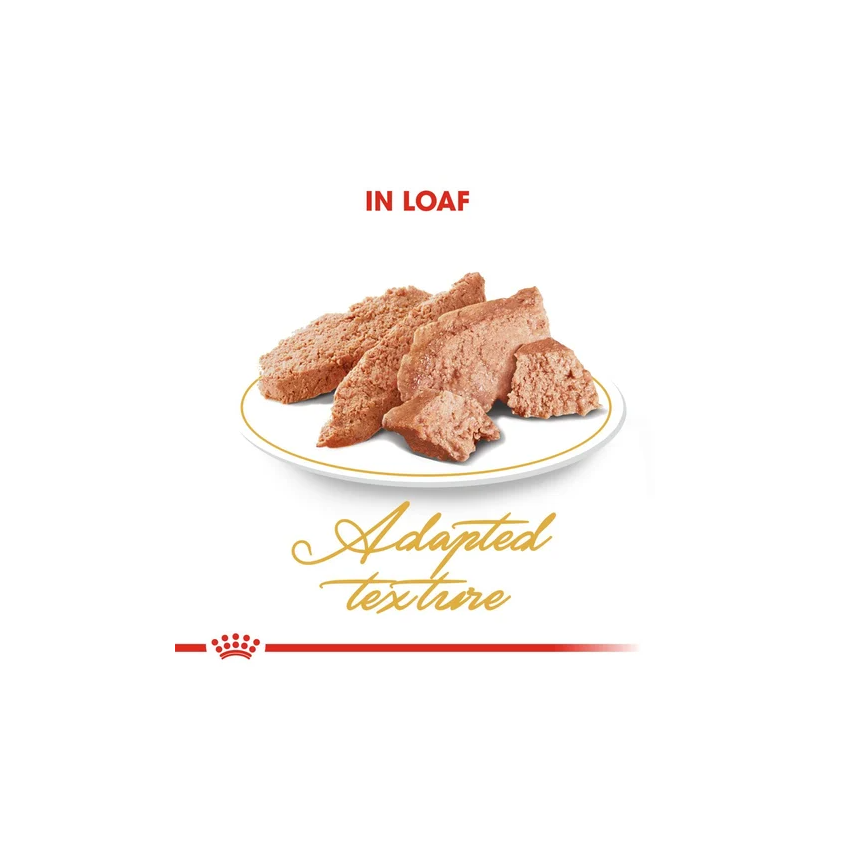 PERSIAN 85G Wet Food Royal Canine