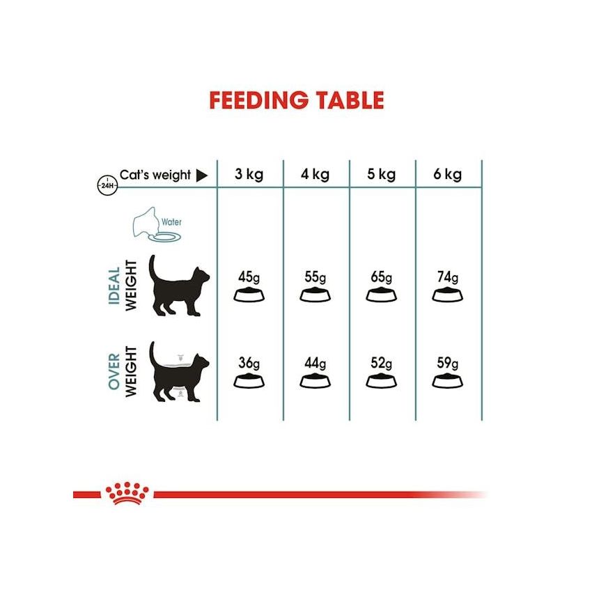 FCN HAIRBALL CARE Royal Canine Dry Food