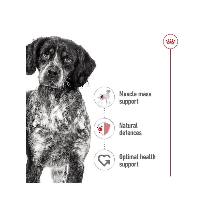 MEDIUM ADULT CIL 410G Wet Food Royal Canin