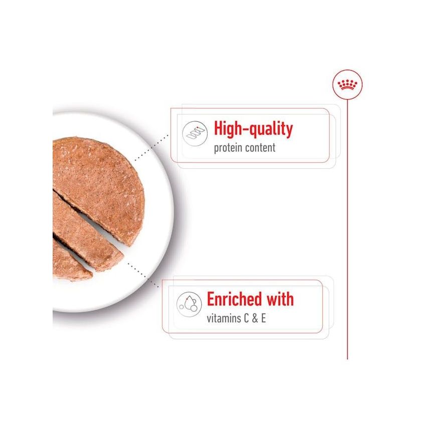 MEDIUM ADULT CIL 410G Wet Food Royal Canin