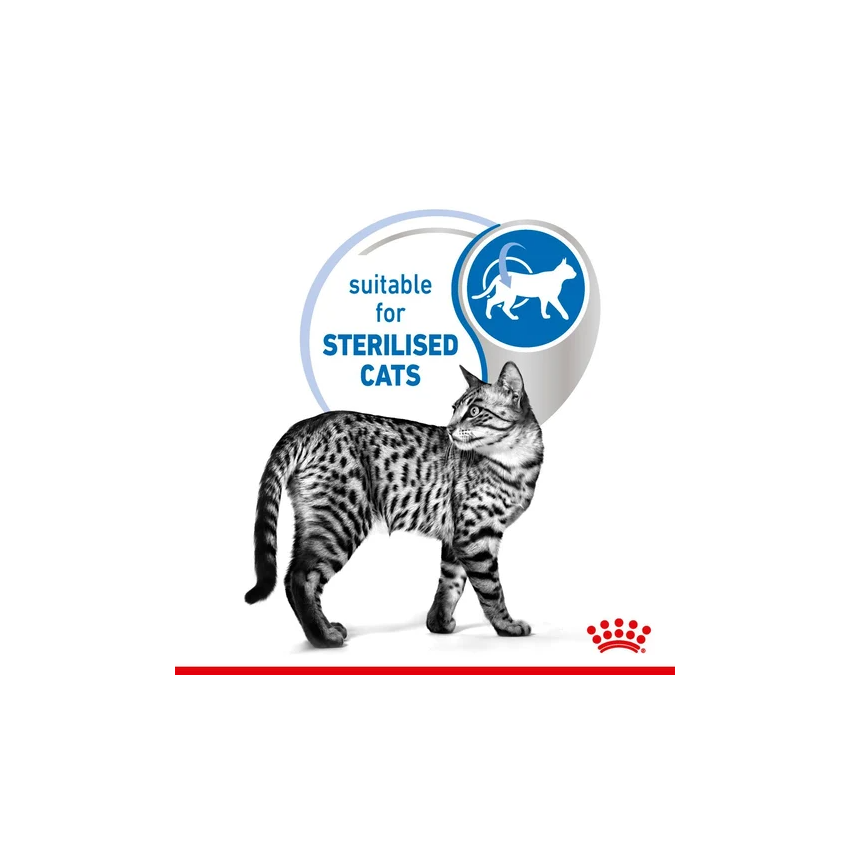 INDOOR 85G Wet Food Royal Canine