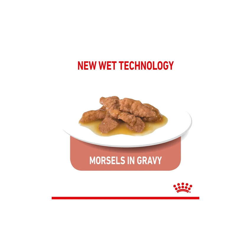 INDOOR 85G Wet Food Royal Canine