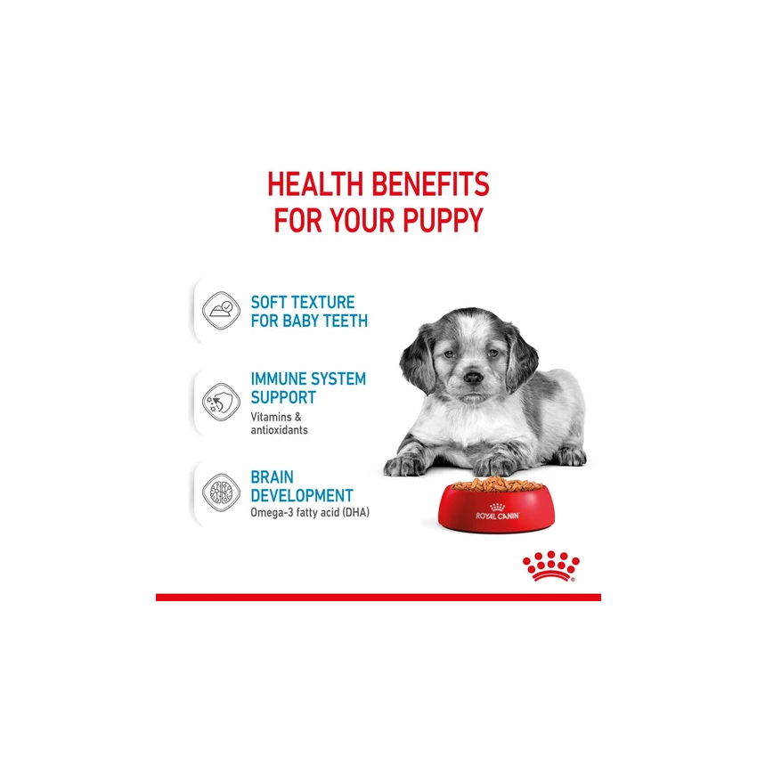 MEDIUM PUPPY 10x140G Wet Food Royal Canin