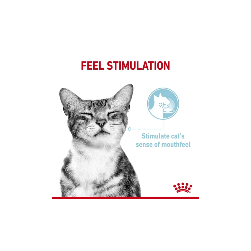 SENSORY FEEL GRAVY 85G Wet Food Royal Canine