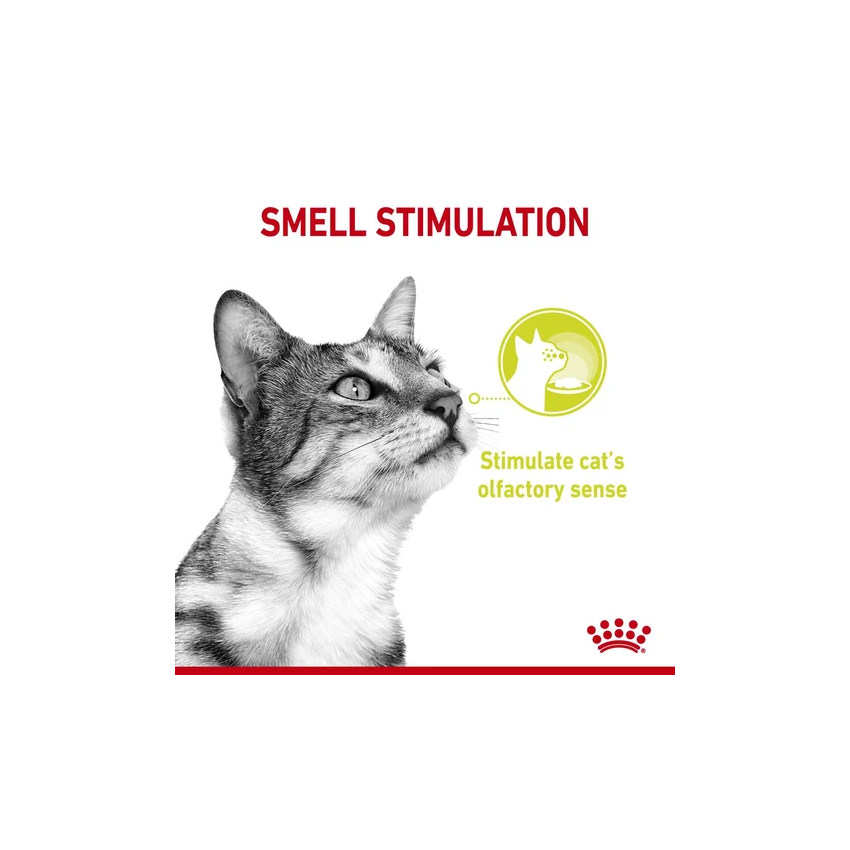 SENSORY Smell 85G Wet Food Royal Canine