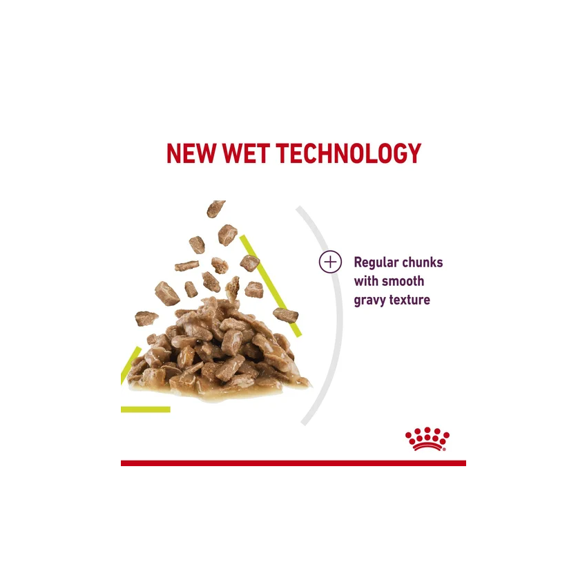 SENSORY Smell 85G Wet Food Royal Canine