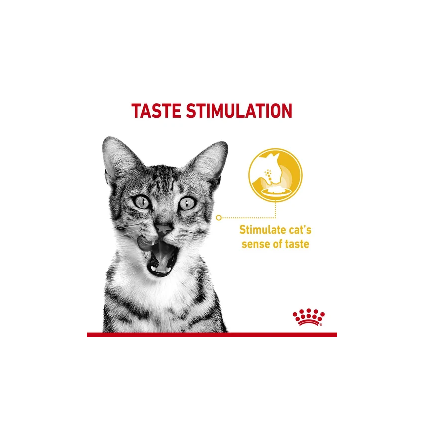 SENSORY Taste 85G Wet Food Royal Canine