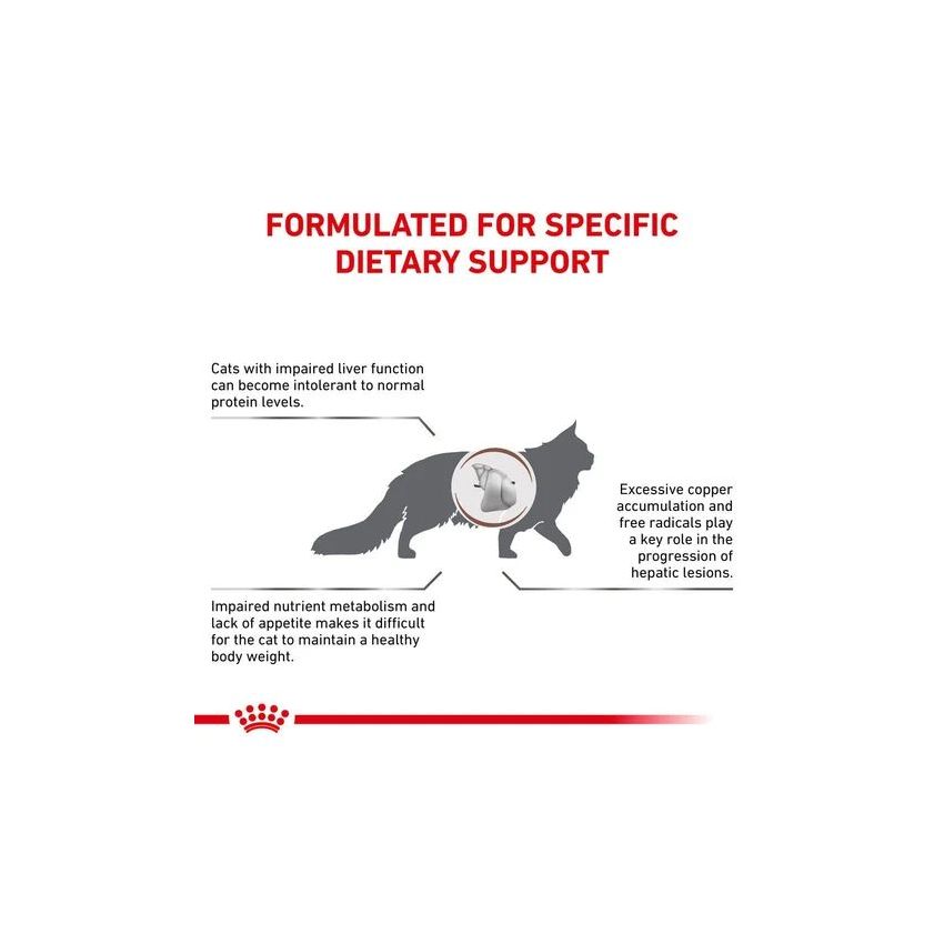VHN CAT HEPATIC 2K Royal Canin