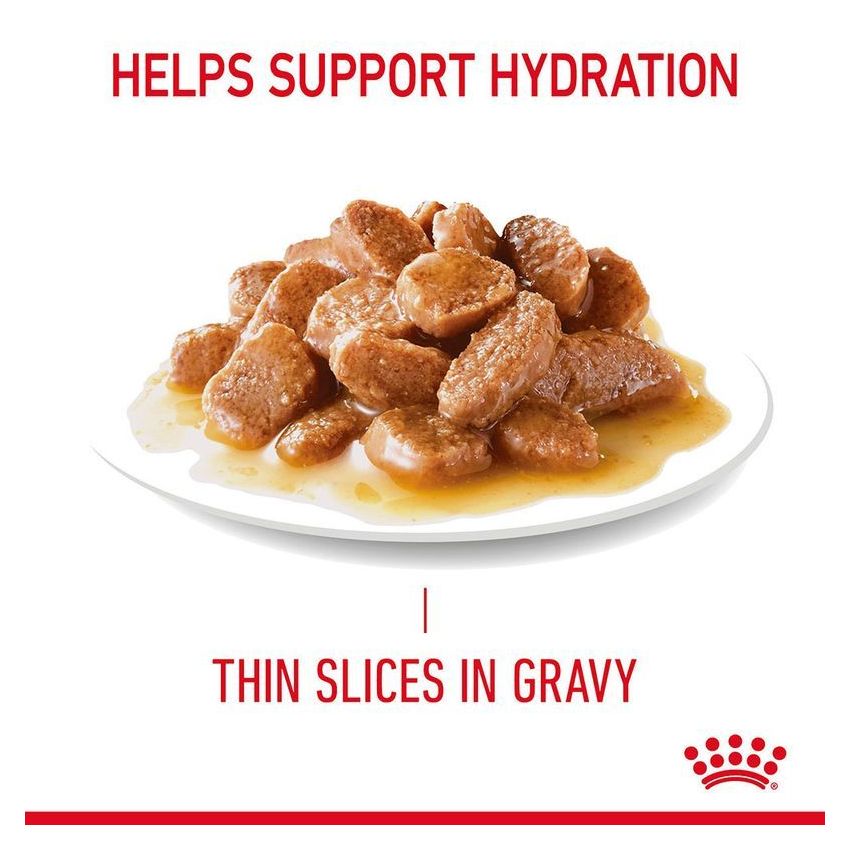 Hair & Skin Care Gravy 85G Wet Food Royal Canine